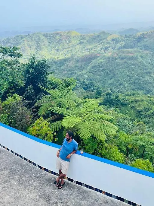 Villa Verde Luz: A Virgin Forest Yauco Porto Rico