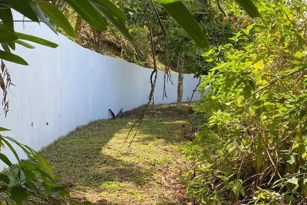 Villa Verde Luz: A Virgin Forest Yauco