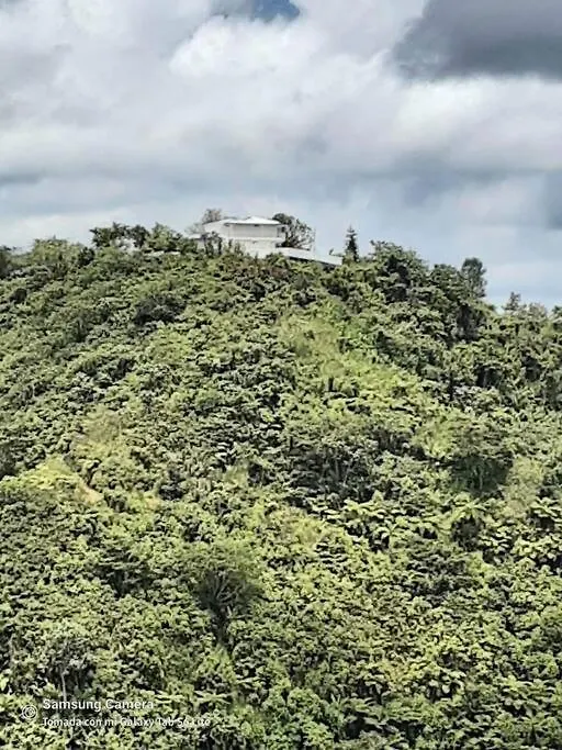 Villa Verde Luz: A Virgin Forest Yauco
